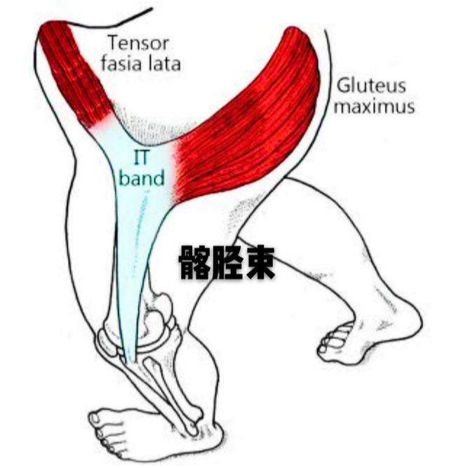 跑步突然加量易诱发的运动损伤有哪些，如何应对？医生详细告诉您