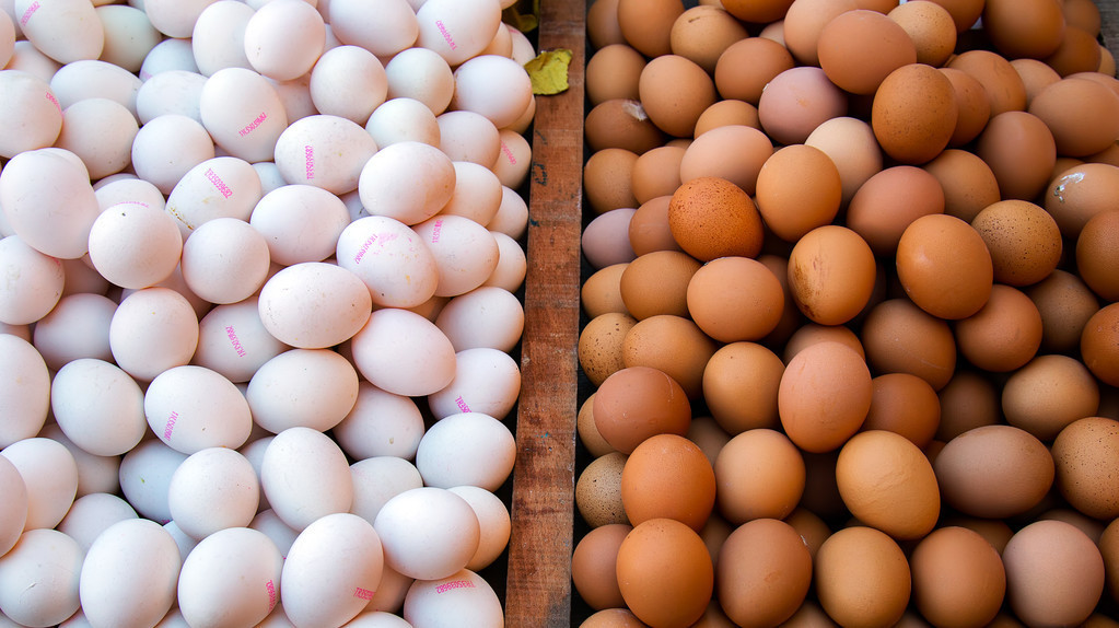 3月22日全国鸡蛋价格，稳，生猪价格下跌，对鸡蛋价格有影响吗？