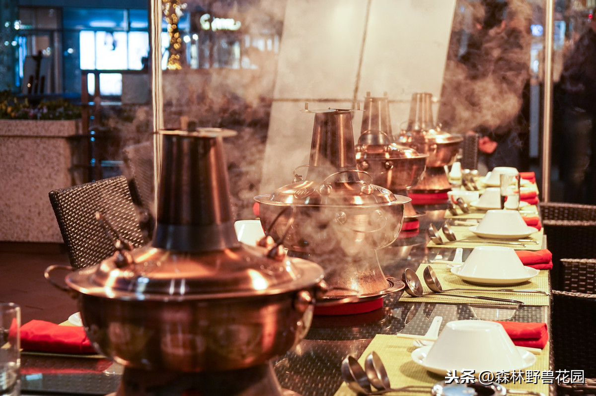 吃火锅那么多年，你知道有哪些赞美火锅的经典句子吗？