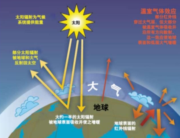 专家解读：黑色地膜和白色地膜的区别