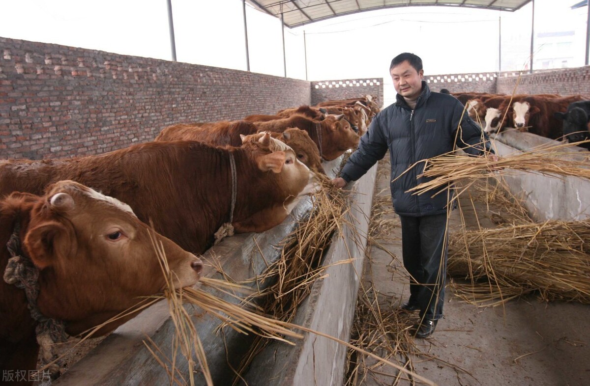 湖南养殖业政府补贴 湖南养殖业政府补贴多少