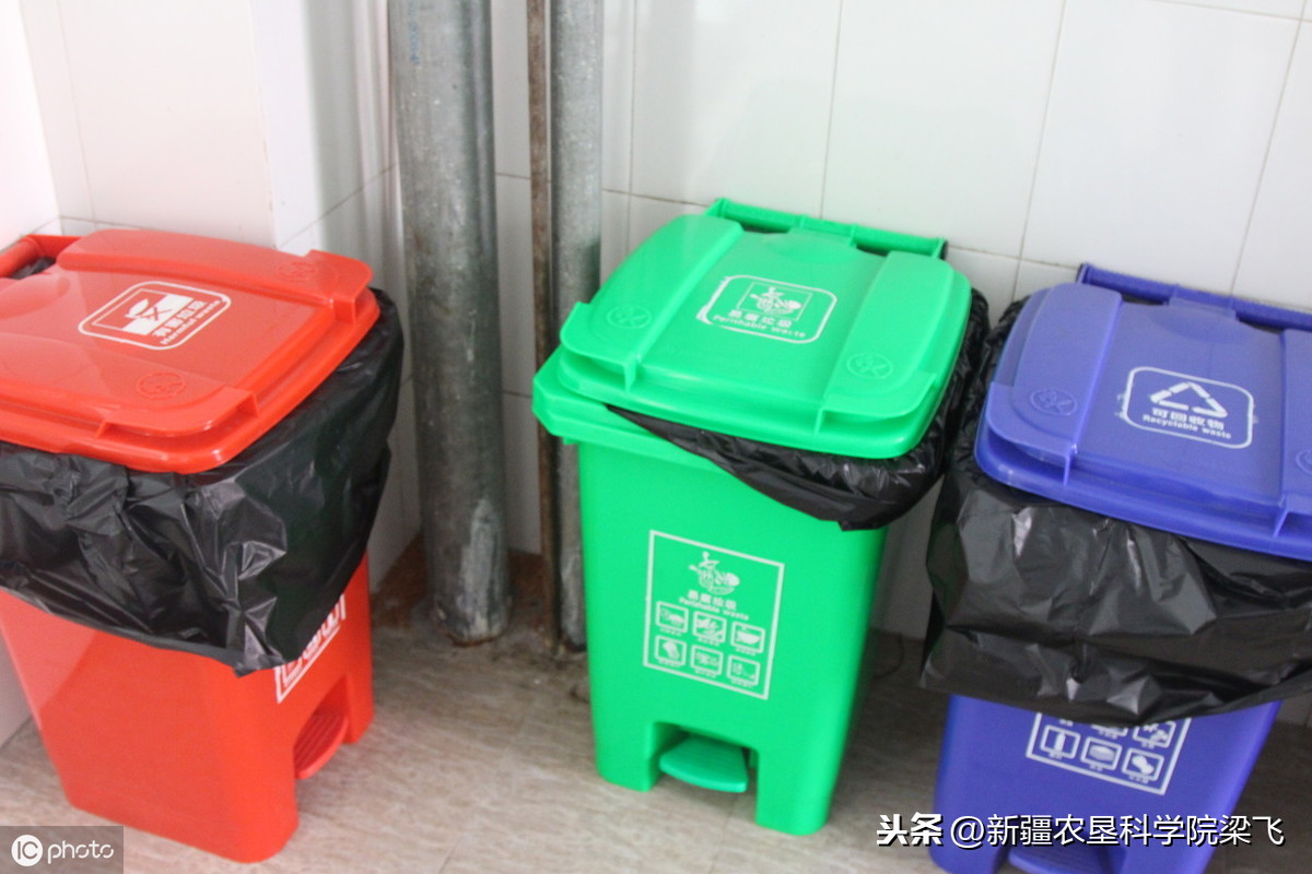 基于为什么施肥，什么肥，多少肥，分析如何合理施用有机肥的方法