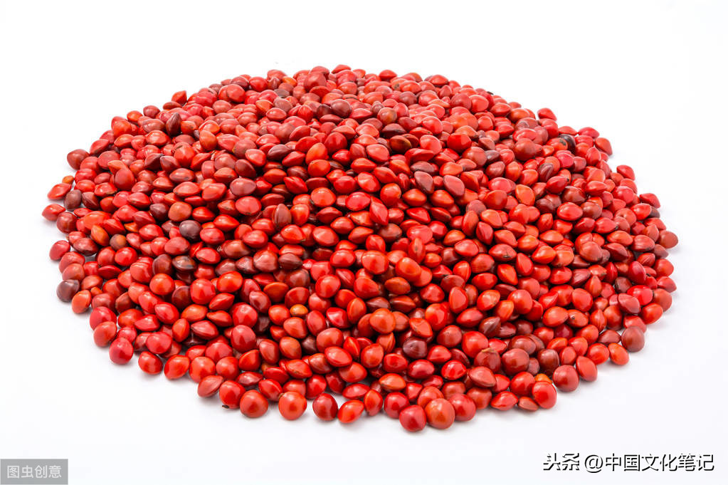 谈谈古代的红豆文化：从“红豆生南国”的真正作者开始