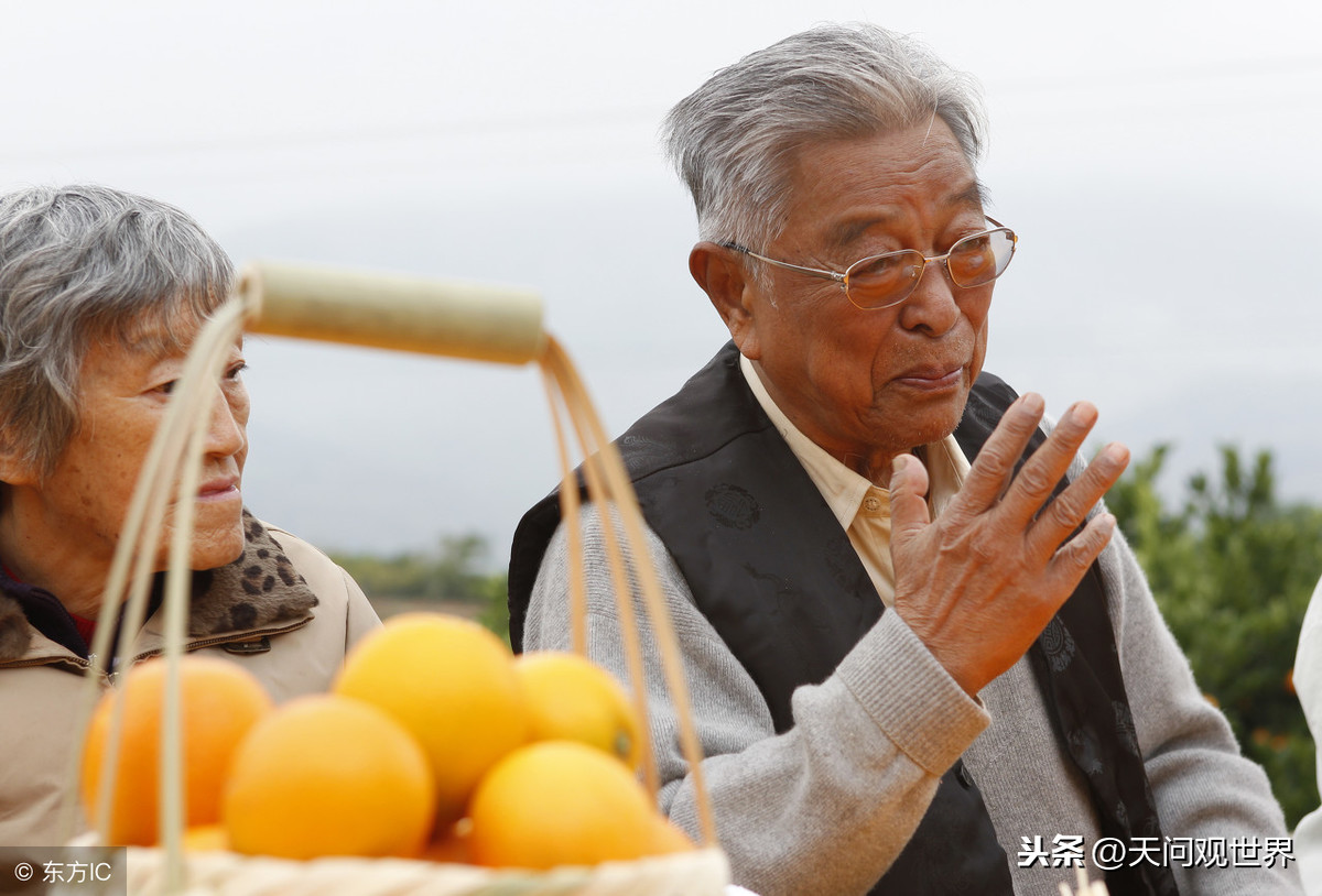 谨以此文，纪念这样一位老人：离去，未必离开