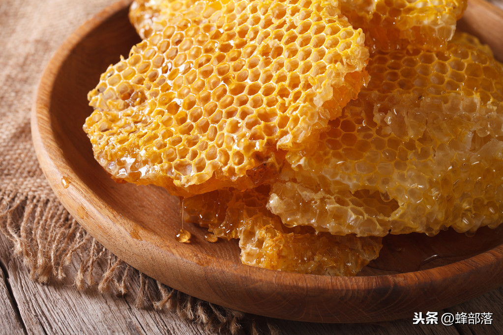 制造蜂蜡的是哪种蜜蜂,制造蜂蜡的是哪种蜜蜂?