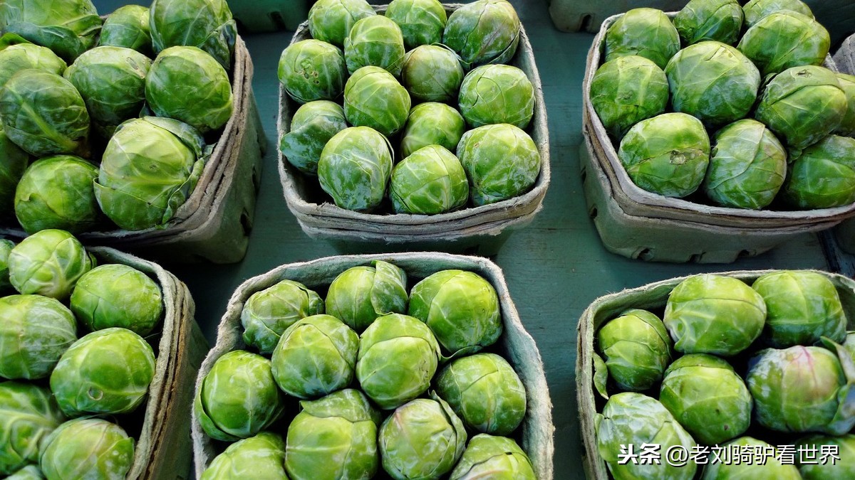 绿色食品 标准,绿色食品标准的特点主要有