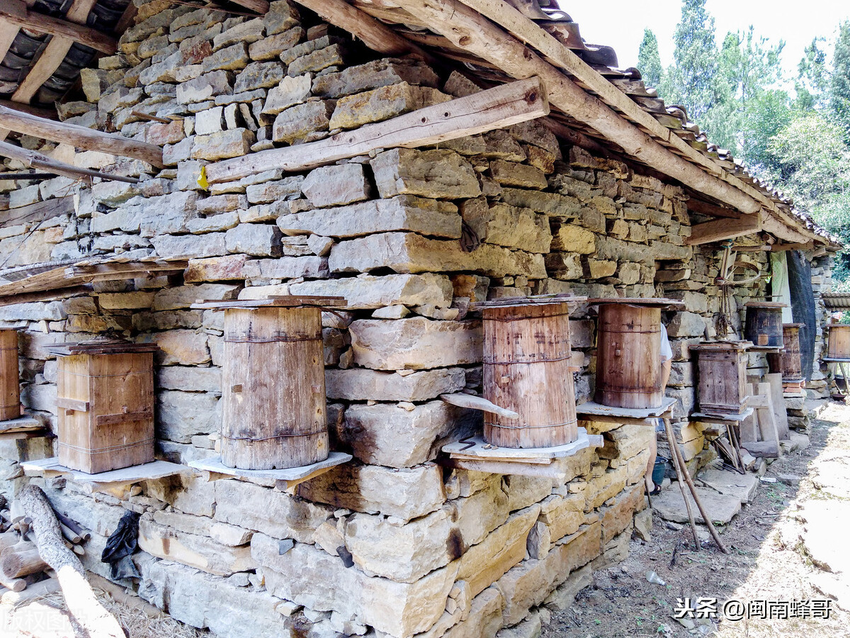 农村自建房讲究风水宝地，蜜蜂建巢讲究内外条件，养蜂技术巧用