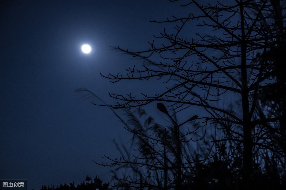 《卜算子》一开始就营造了一个夜深人静的气氛:缺月挂疏桐