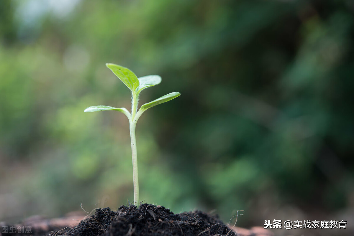 面对一个抑郁自闭的网瘾少年，父母该如何做？给你4点建议