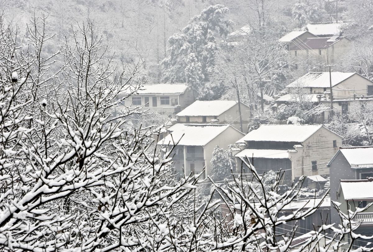 正值腊月，农村俗语“腊月雪打雷，正月黄土堆”，说的啥意思呢？