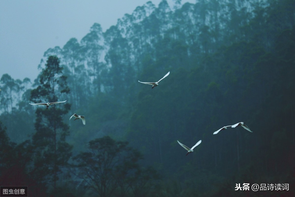 杜甫很有意境的一首诗，只是描写了普通的风景，但美得犹如一幅画