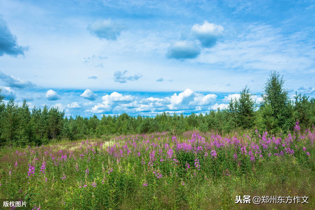 让作文出彩的137则名言警句，学霸们都收藏了，不怕作文写不出来