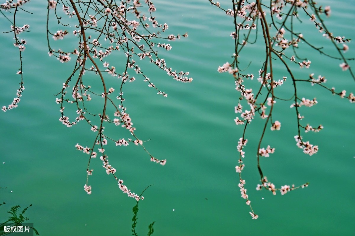 描写湖水湖面静态、动态、光影变幻的优美句子段落，太美了