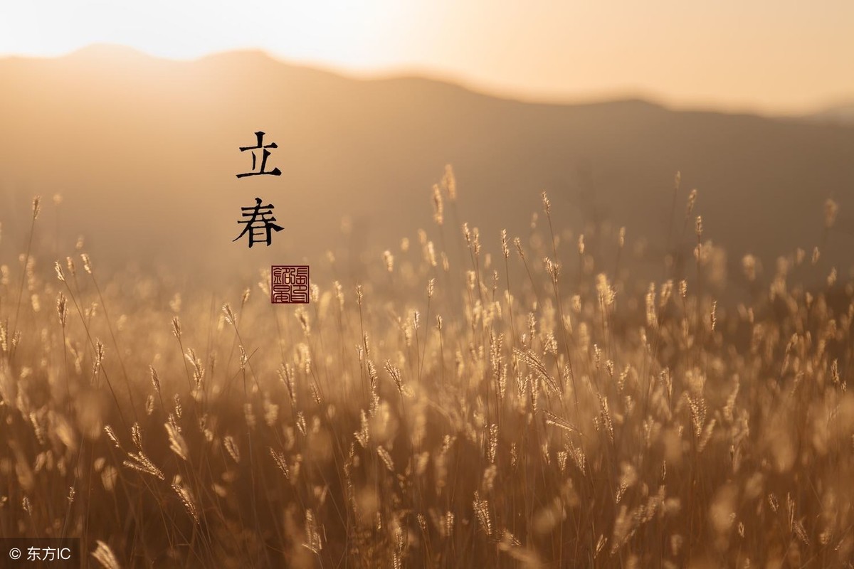 什么是寡妇年（24年为什么是寡妇年）