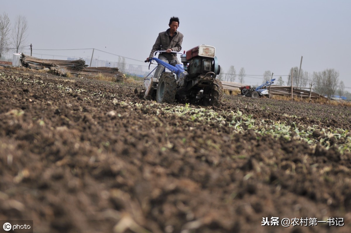 土地转让协议书范本,土地转让协议书范本格式