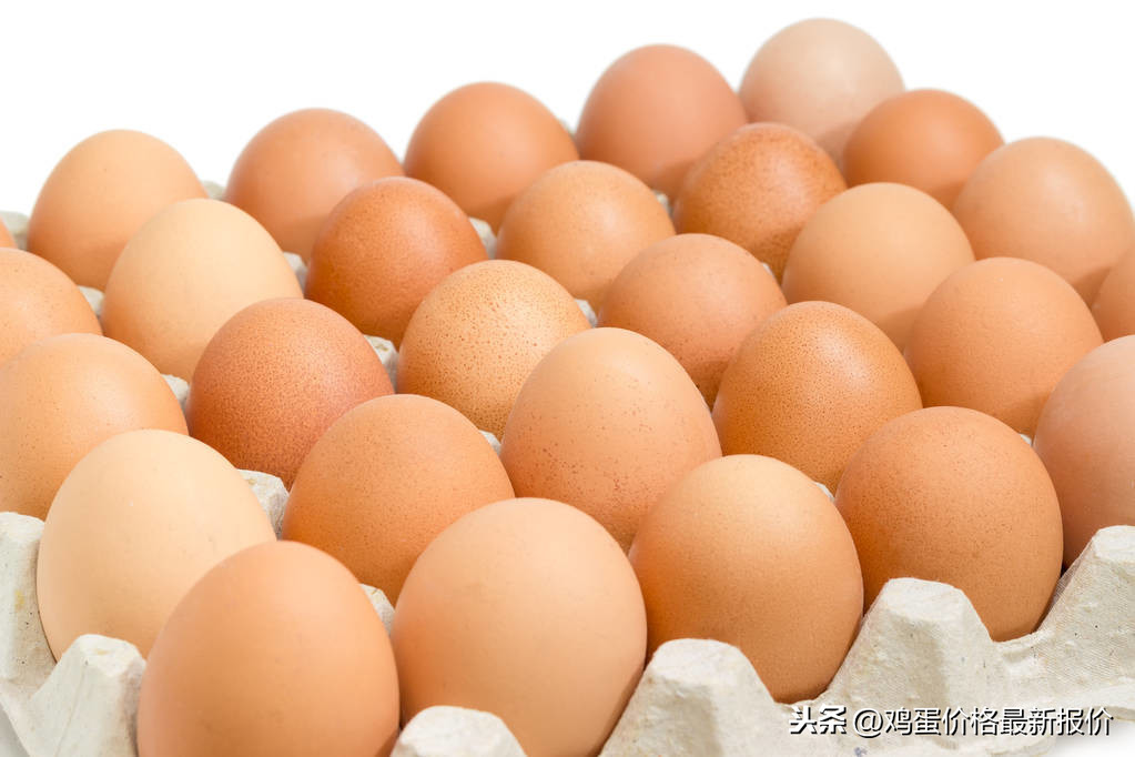 河南今日批发鸡蛋价格「河南鸡蛋箱批发」
