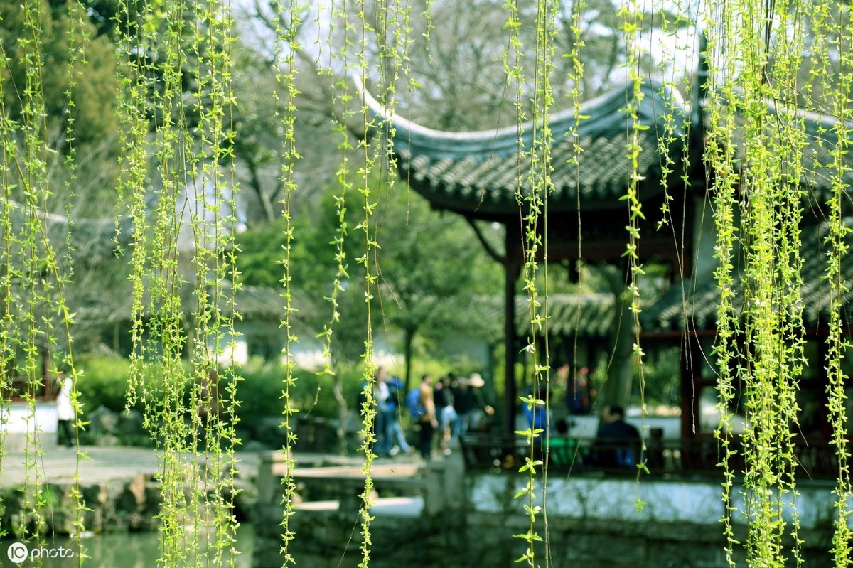 杨万里这首诗句句透露着是生活的美好，堪称宋诗经典，值得一读