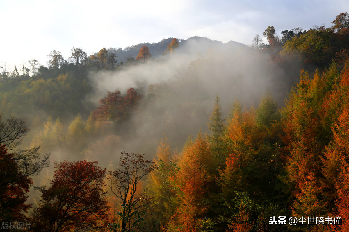 秋意渐浓凉风习习，杨万里夜晚散步即景写景，写下一首很唯美的诗