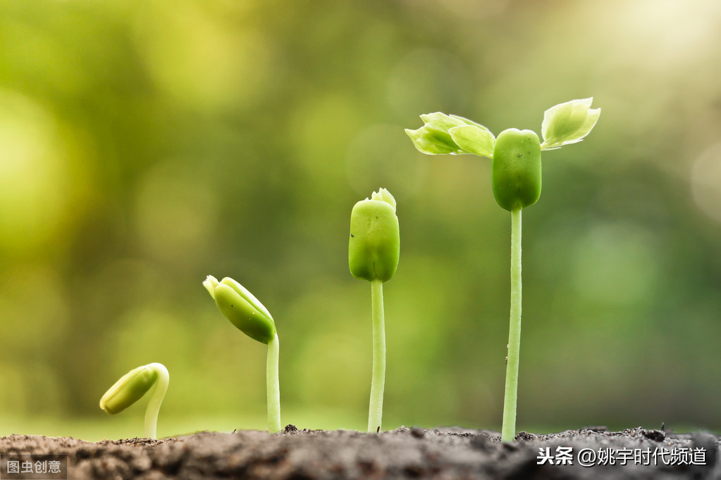 跆拳道影响很大(学习跆拳道散打柔道队孩子的未来有什么影响，对身高有什么影响)