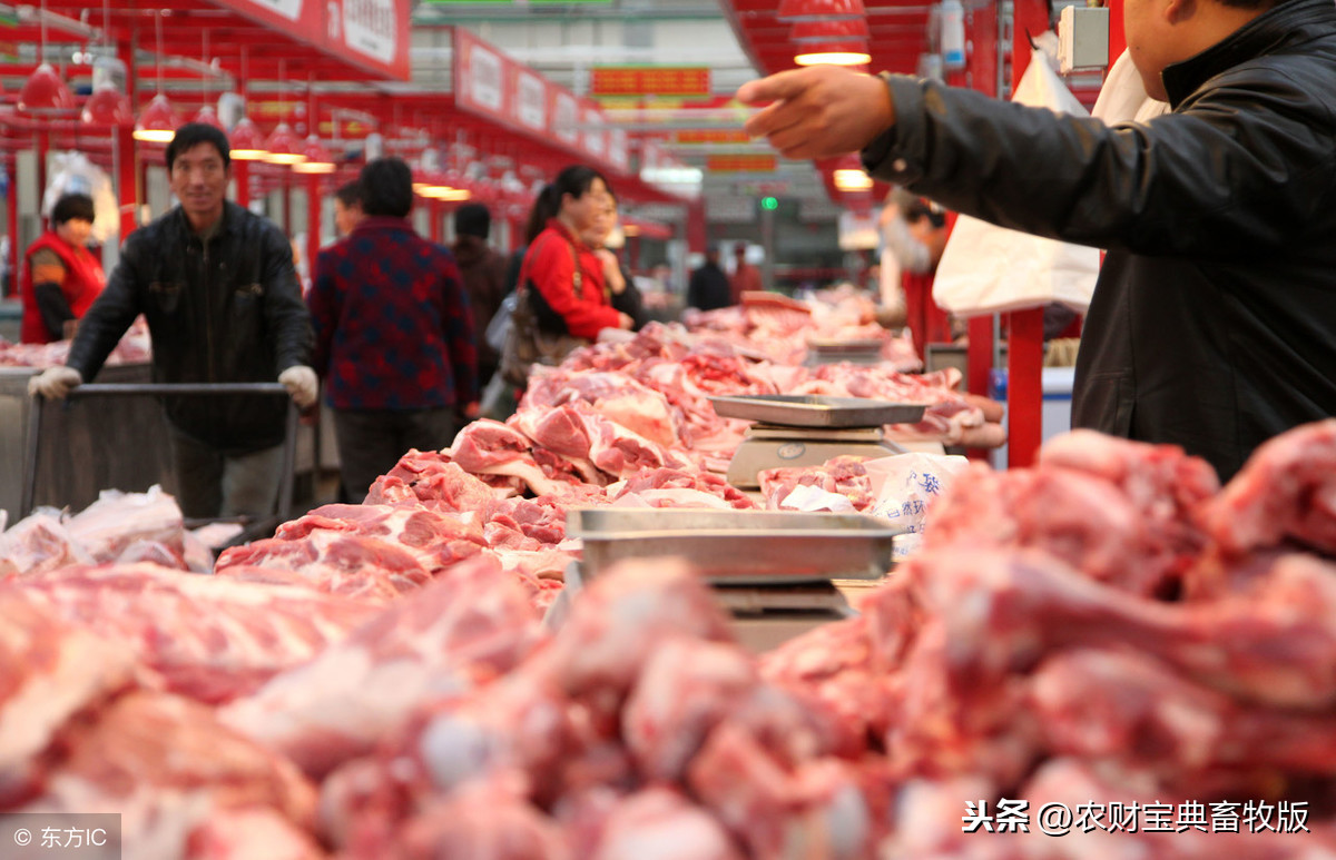哈尔滨猪肉4.9元/斤！买肉的人没变少，问题是肉多了！