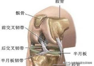 遭遇膝盖十字韧带撕裂(十字韧带撕裂有多严重？至少恢复半年以上)