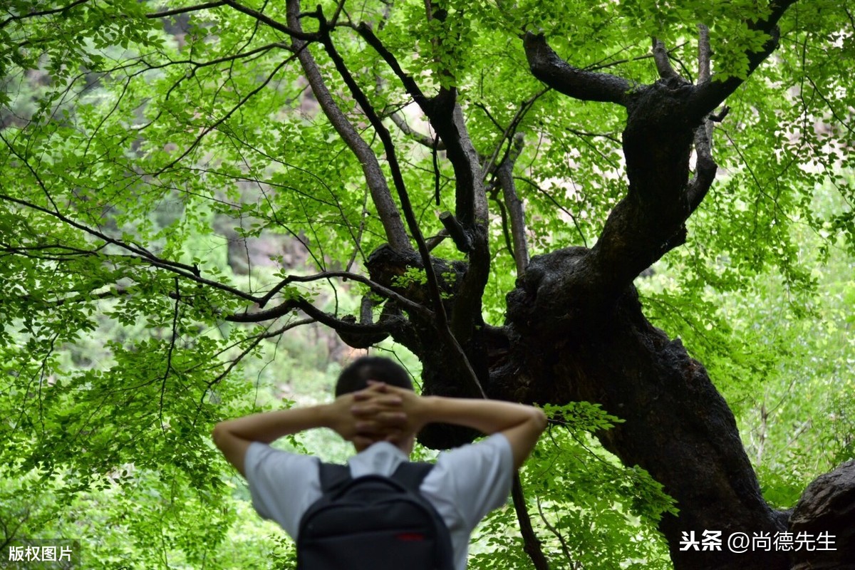 我国有哪些少数民族 56个民族的风土人情和风俗习惯