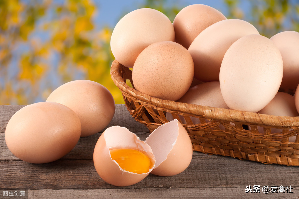 铁岭地区今日鸡蛋价格「今日潍坊地区鸡蛋价格」