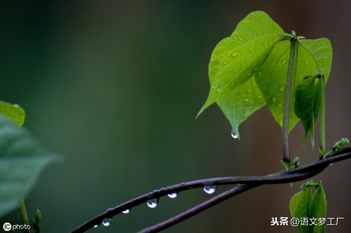 20条经典的励志格言鼓励你：生命经不起等待，请微笑一直向前