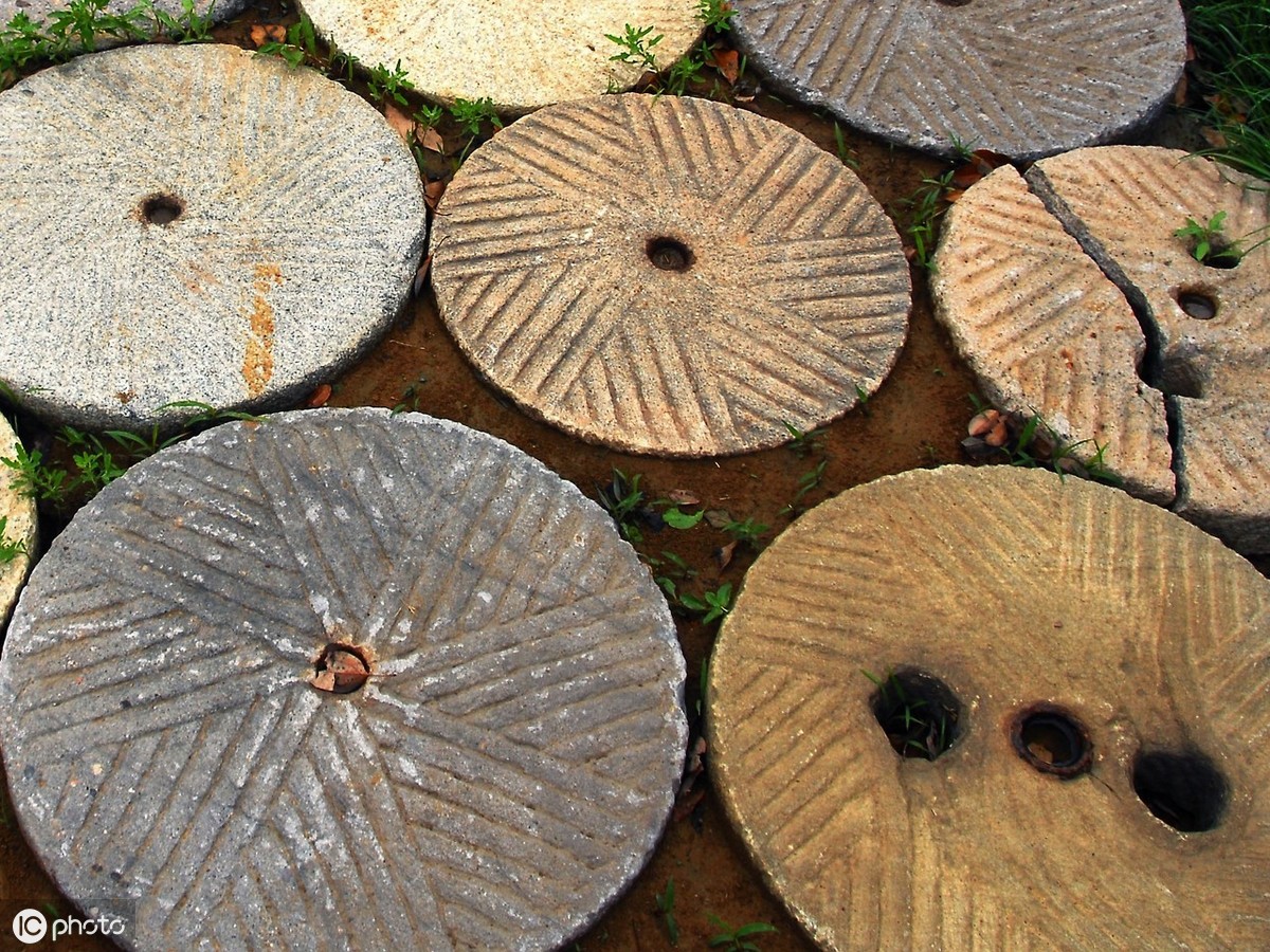 中国小麦、麺、石磨的演化历史探究