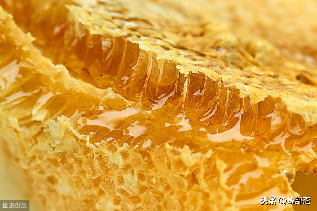 老蜂农提醒：蜂巢蜜虽好，但也能造假，买错了还不如喝白糖水