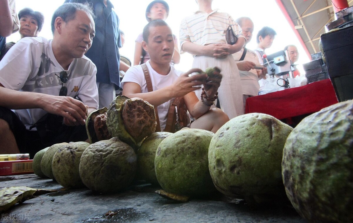 核桃上市季，市场十几元，农民却只能卖白菜价，问题出在哪？