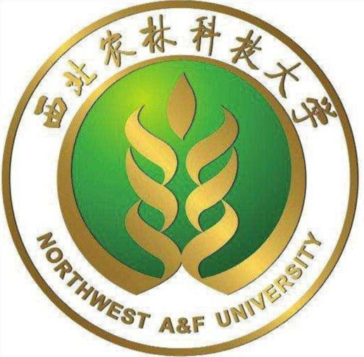 中南大學:知行合一,經世致用中南大學中南大學校徽中南大學校訓39