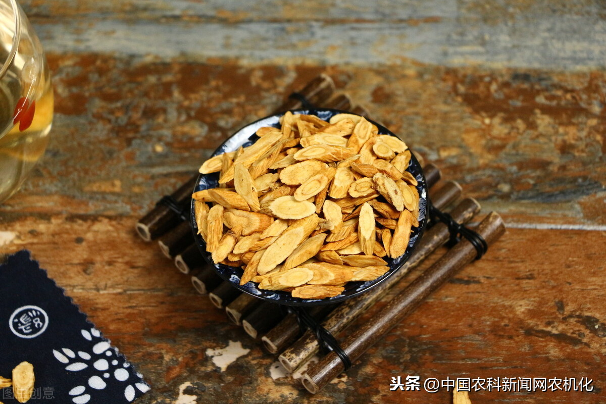黃芪種植,黃芪種植技術及畝收益