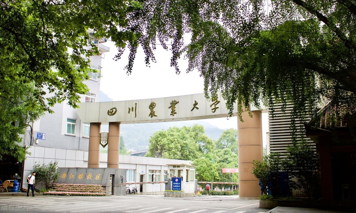 1956年由四川大学农学院整体迁往原西康省省会雅安成立四川农学院