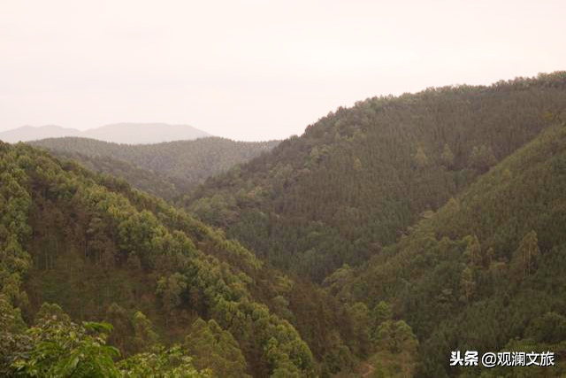 高峰森林公园“天空之城”没有错，只怪我们见识少