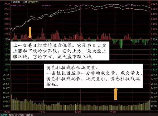 股票基础知识培训（一）——内含大量干货！新老股民都值得收藏