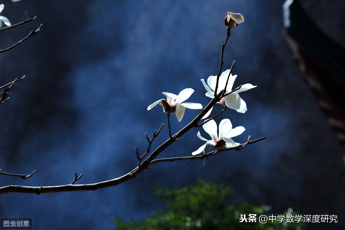 指哪个角cba(中考数学最后一击，压轴题破解之道，满分必看)