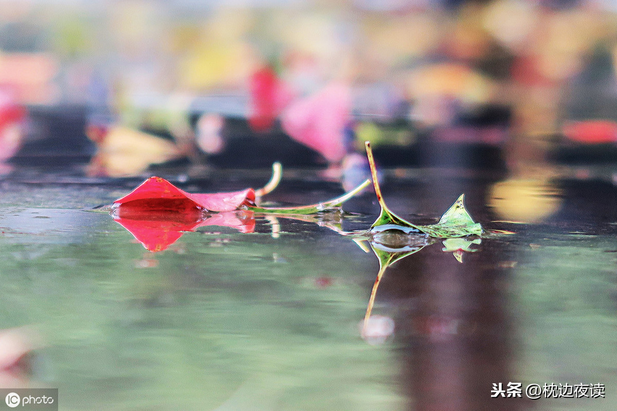 故都的秋秋雨话凉图图片