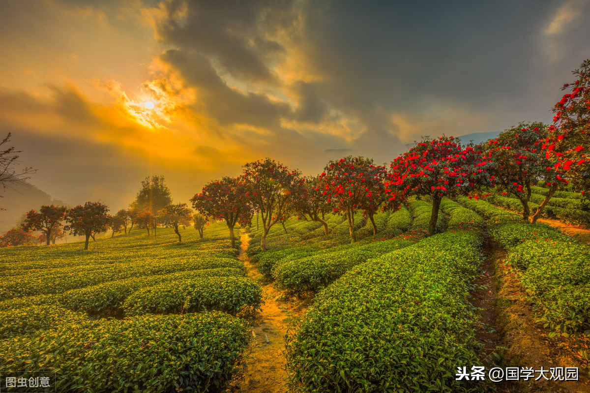 易经这么学很效率，掌握这些记忆的口诀，相信不久后你也是大神