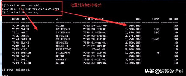 详解sqlplus设定行大小、页大小、字符列格式、数字列格式、清屏