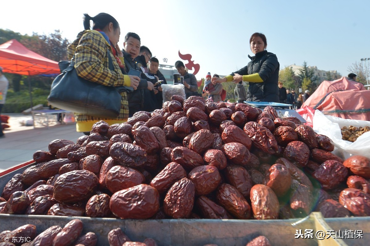 吐鲁番今日红枣价「吐鲁番猪肉价格今日价」
