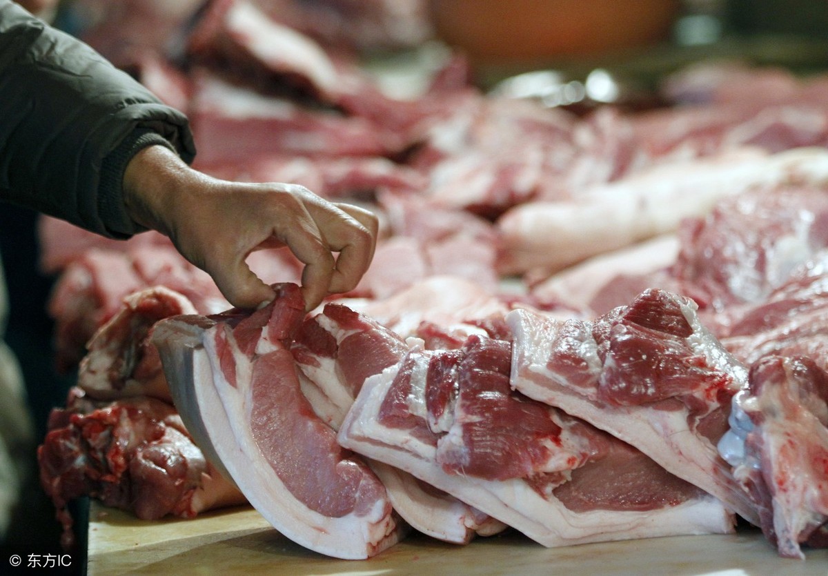 「今日猪价」11月26日猪价开涨，养猪人可以缓缓了