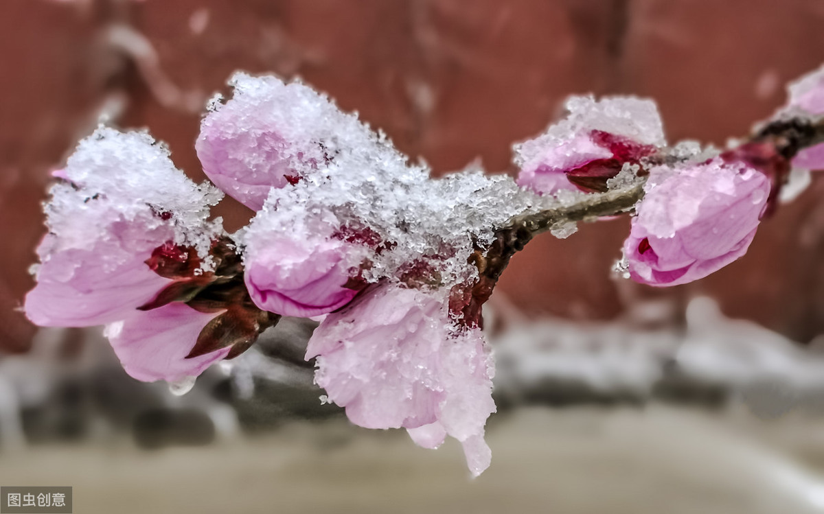 2019下雪寒冬关心问候祝福句子，晴天适合相见，雪天适合思念