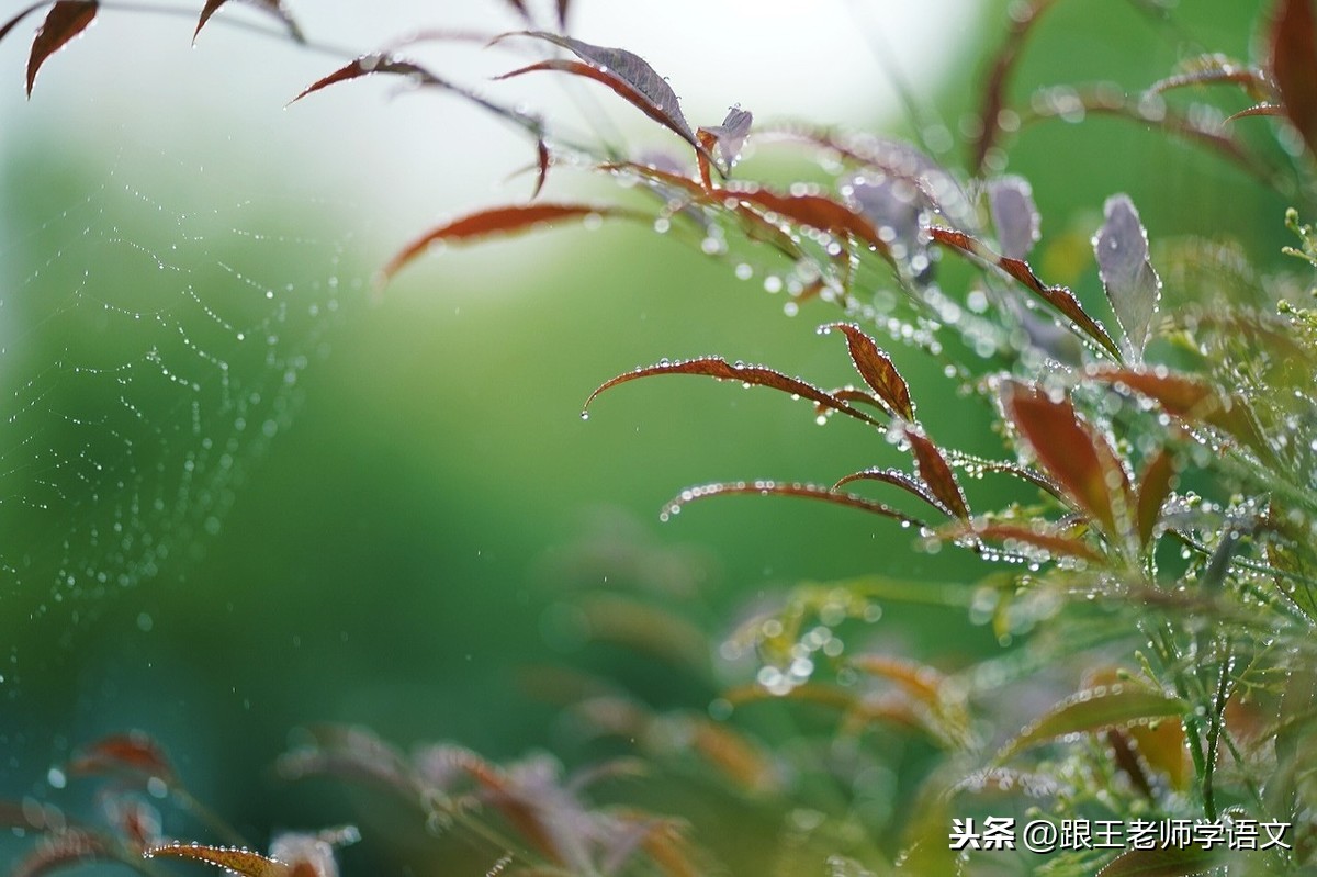 写作帮手:描写春雨的好词、好句、好诗积累+习作指导+10篇范文