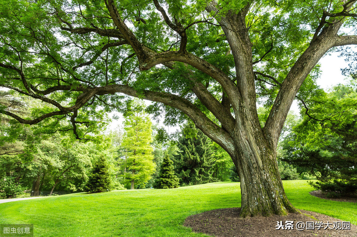 易经八卦都代表了什么，里面竟然隐藏这么多卦象，看完后长见识