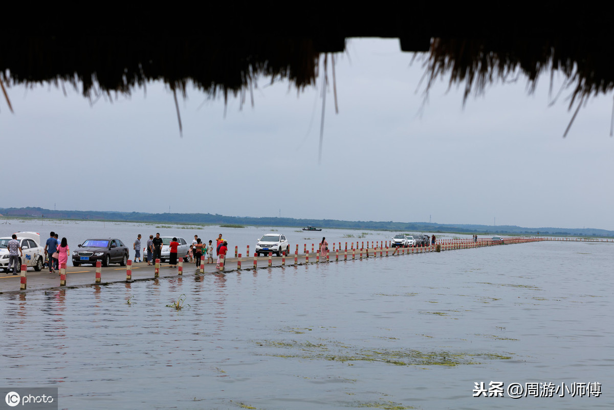 邂逅鄱阳湖最美的秋小编分享环鄱阳湖自驾路线攻略，看过都点赞