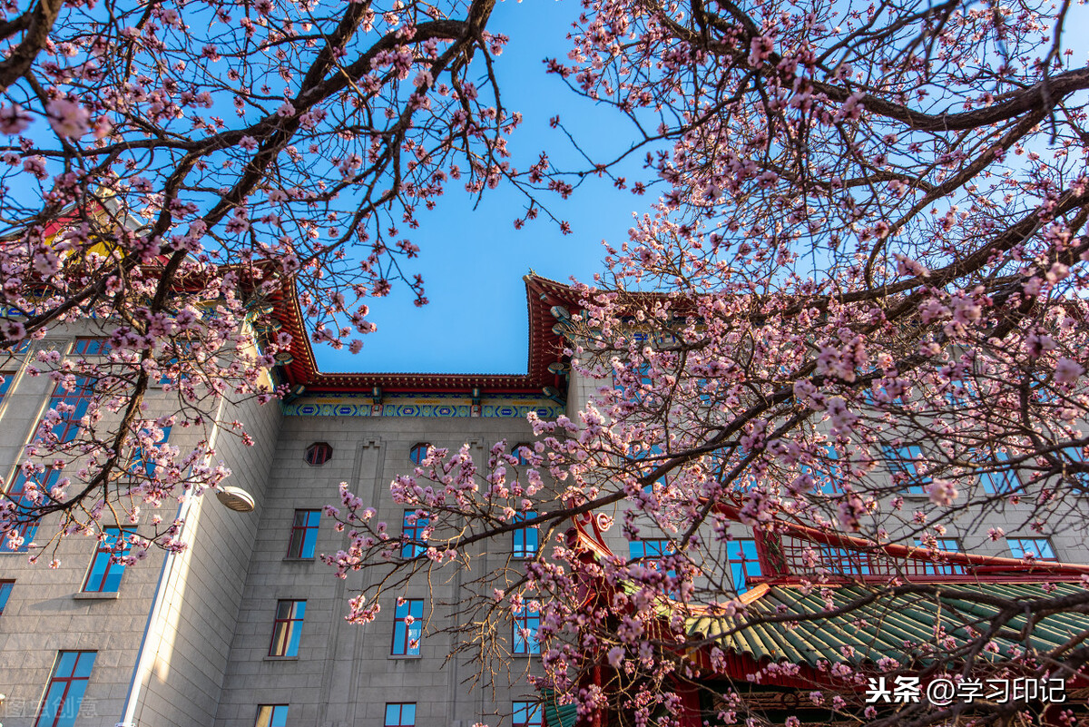 东北地区最厉害的5所大学，哈工大公认最强，第三所非常低调