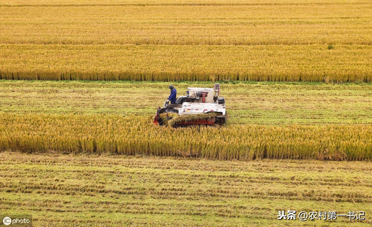 土地转让协议书范本,土地转让协议书范本格式