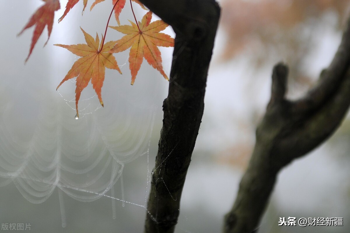 70后的爱情系列故事（1）——因为爱你