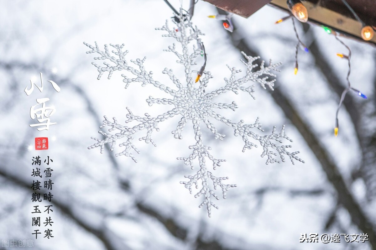 「散文」小雪逢大雪